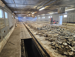 Rekonstrukce haly chovu prasat